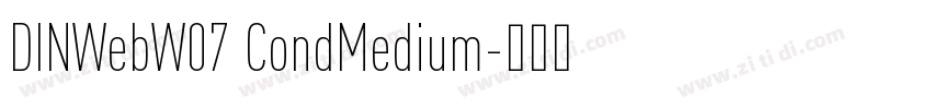 DINWebW07 CondMedium字体转换